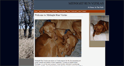 Desktop Screenshot of midnightrunvizslas.com